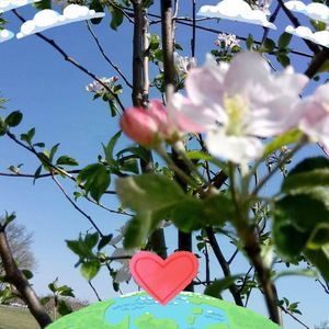 Meet your Posher, Anita